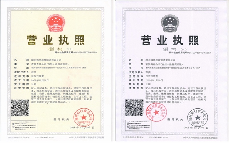 公司(sī)2009年成立(lì)