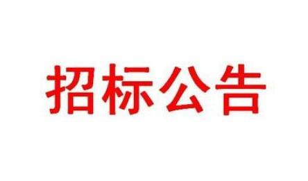 甯夏(xià)吳忠(zhōng)分中心2021年普(pǔ)通(tōng)國道(dào)危舊(jiù)橋梁(liáng)改造工程施工招标(biāo)